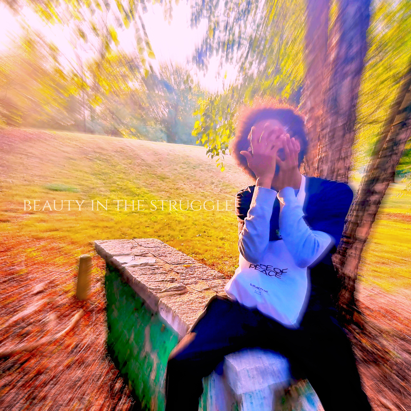 Beauty in the Struggle — cover art