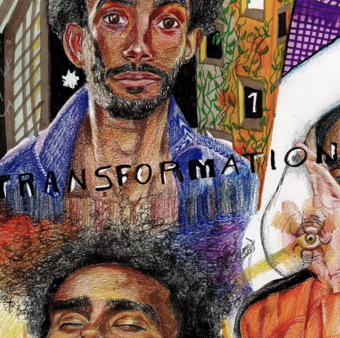 The Transformation Project — cover art