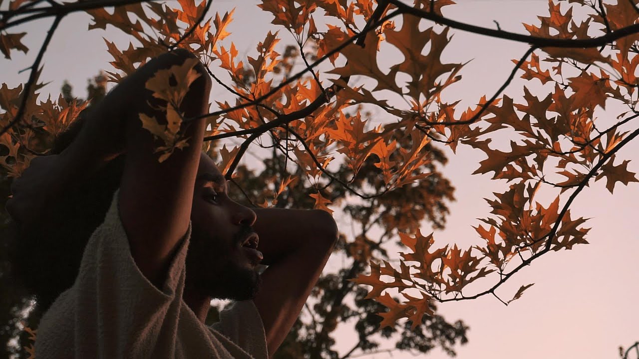 Patience — video poster